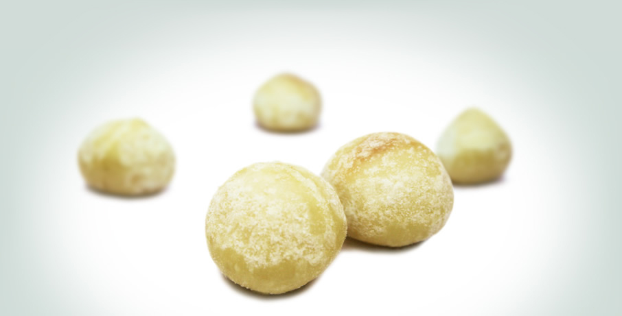 Salted macadamia nuts